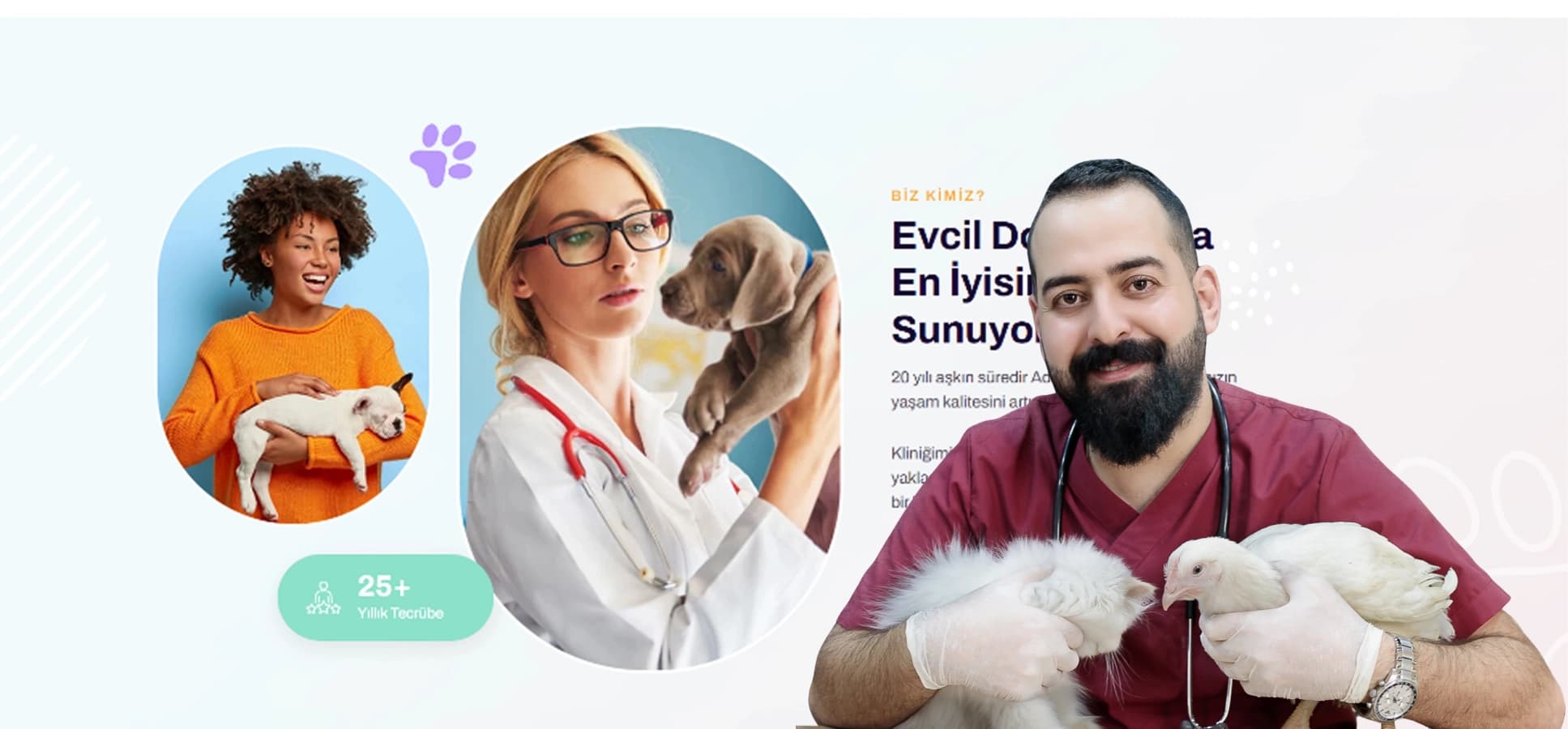 Veteriner Web Sitesi Tasarımı